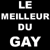 Annuaire Gay et Lesbien L. C. D. J.